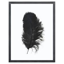 Tablou din Sticla si Metal cu Pana de Strut HK LIVING