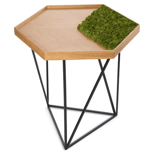 Masuta de Cafea Multifunctionala ForMe cu Insertie de Licheni by Atelier MASS