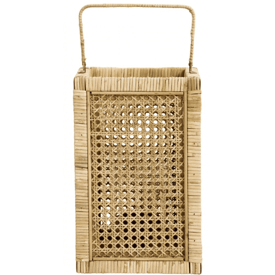 Felinar Nature din Ratan