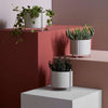 Ghiveci din Metal S Rosu PIDESTALL WOUD